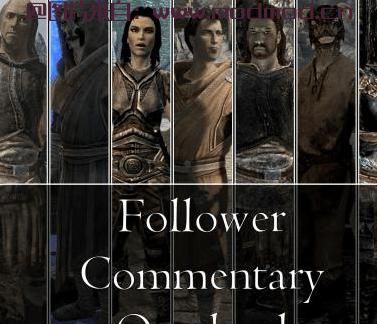 上古卷轴5：天际MOD 【盜連盜連組】Follower Commentary Overhaul 1.3 隨從口水大修 繁体汉化转简体汉化