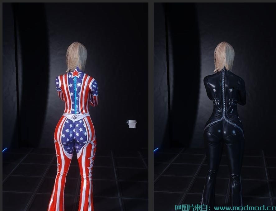 上古卷轴5：天际MOD  剑灵 KillBill