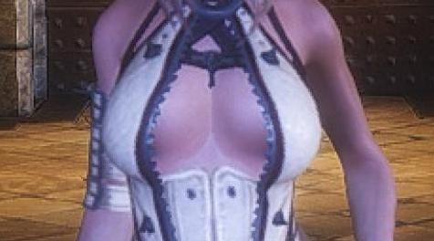上古卷轴5：天际MOD 【CBBE】 剑灵 青狼/红狼