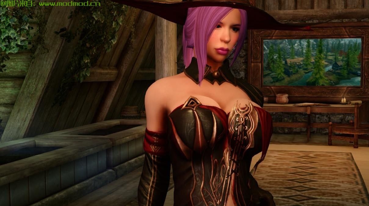 上古卷轴5：重置版MOD MoonWitch服装SE Conversion-C  - 物理CBBE HH