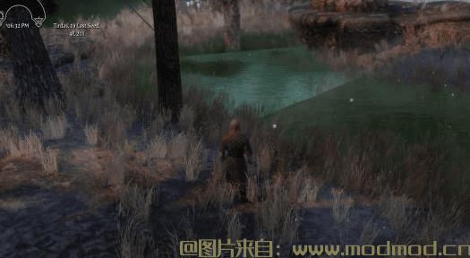 上古卷轴5：重置版MOD 天际景观和水修复