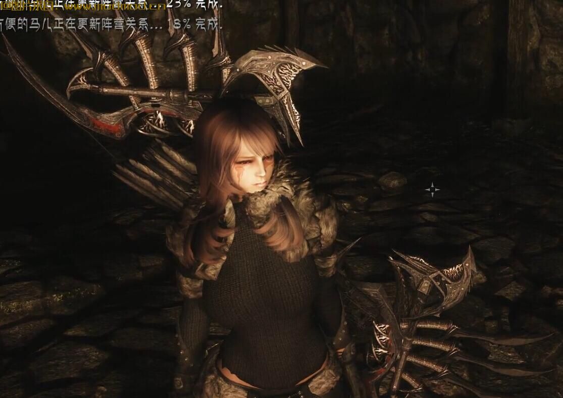 上古卷轴V暗黑III恶魔猎手技能MOD