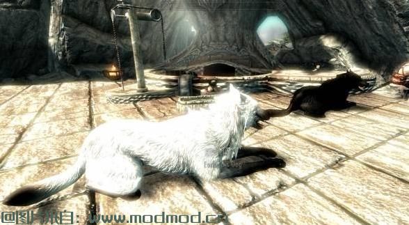 上古卷轴5：天际MOD 【Dogs of Skyrim】天际的狗狗——狗狗与众不同，增加狗狗同伴，NPC饲养狗狗