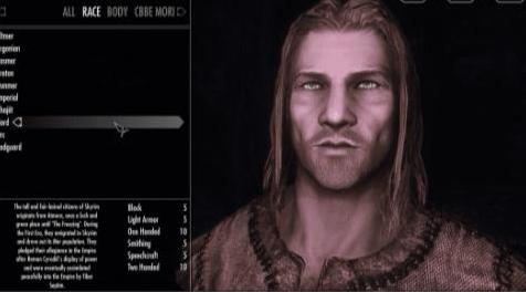 上古卷轴5：重置版MOD 神奇的元素毁灭魔法补丁