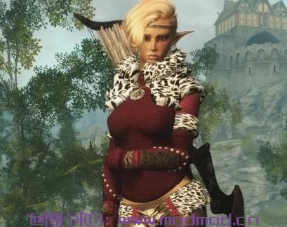 上古卷轴5：天际MOD Northgirl Armor UNP和来自clethcleth和Gamwich的Retexture