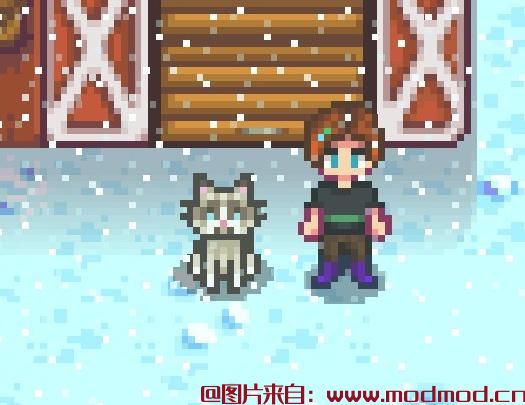 Grumpy Cat（猫替换）