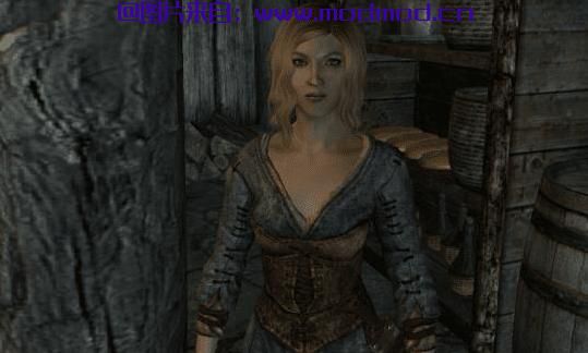 上古卷轴5：天际MOD 汉化MOD  KS Hairdos Female NPC Overhaul 天际女性NPC发型大修