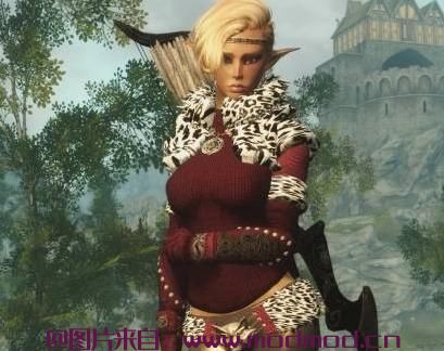 上古卷轴5：天际MOD 【汉化esp】Northgirl Armor UNP和来自clethcleth和Gamwich的Retexture