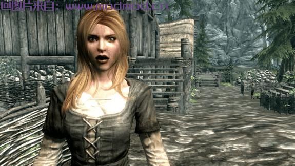 求KS Hairdos Female NPC Overhaul 天际女性NPC发型大修 （用KS发型替换天际女NPC发型）网盘！