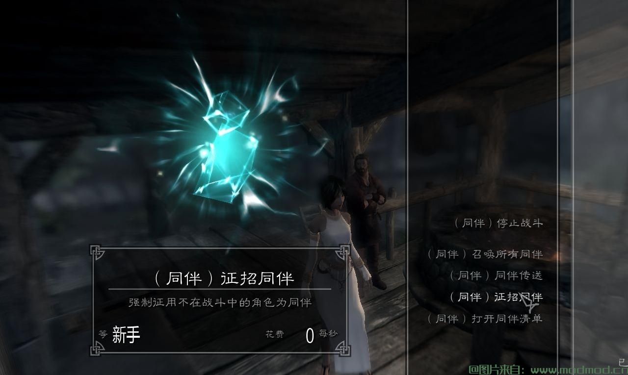 上古卷轴5：天际MOD 【独孤汉化】又一个强大的同伴魔法MOD(Mad Companionship Spells in SkyrimV1.5)