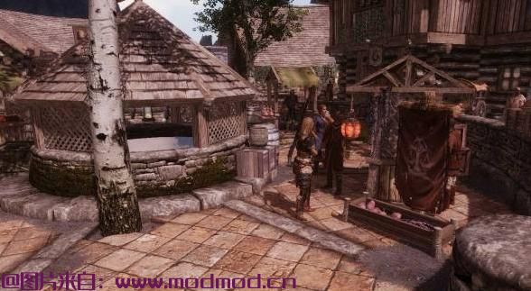 上古卷轴5：天际MOD ［桃花君授权汉化］晨光之城系列－－Dawn of Riften 裂谷城的破曉 v1.1：小偷版裂谷城，加強生活感