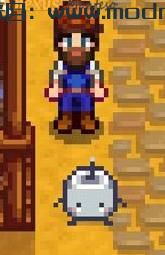 宠物Junimo