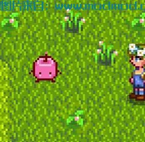 星露谷物语MOD 宠物Junimo