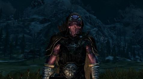 上古卷轴5：重置版MOD 可穿戴灯笼SE MCM配置文件工作