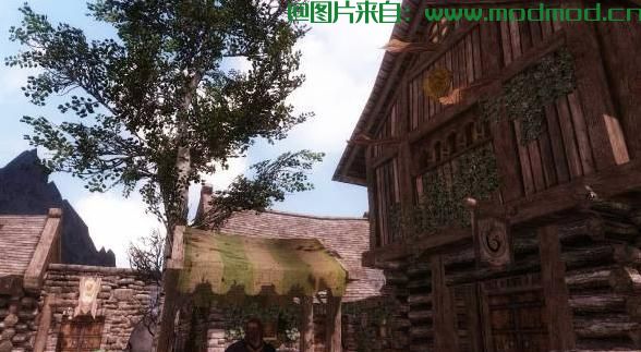 上古卷轴5：天际MOD ［桃花君授权汉化］晨光之城系列－－Dawn of Riften 裂谷城的破曉 v1.1：小偷版裂谷城，加強生活感