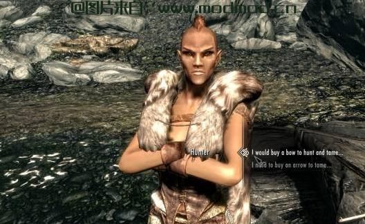 上古卷轴5：天际MOD 汉化  Ranger of Tamriel v1.0a 泰姆瑞尔的游侠