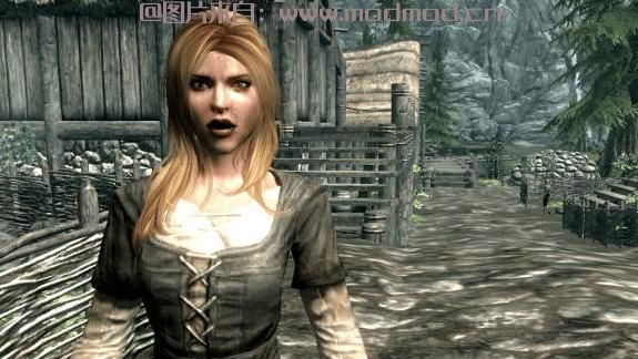 上古卷轴5：天际MOD 汉化MOD  KS Hairdos Female NPC Overhaul 天际女性NPC发型大修