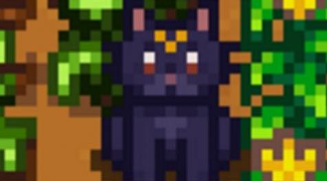星露谷物语MOD 黑猫露娜
