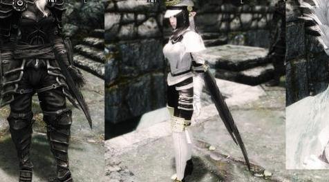 上古卷轴5：天际MOD Tera HumanFemale 人族服裝