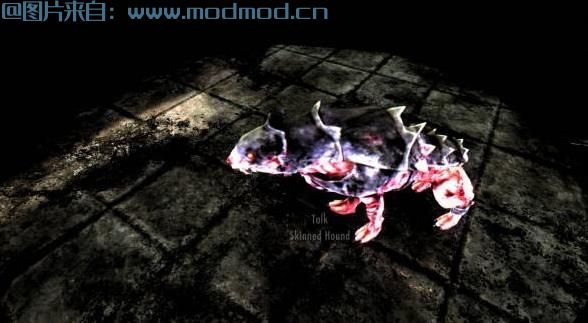 上古卷轴5：天际MOD 【Dogs of Skyrim】天际的狗狗——狗狗与众不同，增加狗狗同伴，NPC饲养狗狗