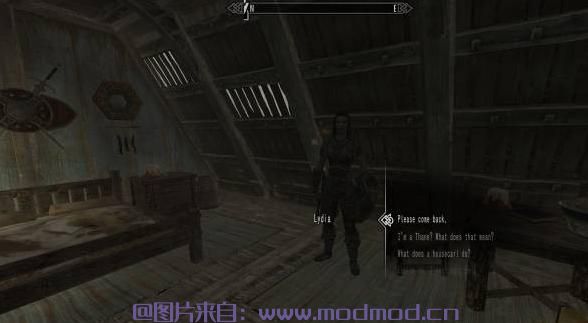 上古卷轴5：天际MOD ［桃花君汉化］同伴的大冒险！Follower Goes on a Trip - V0.3：已補檔－你的甜心们会独自旅行，