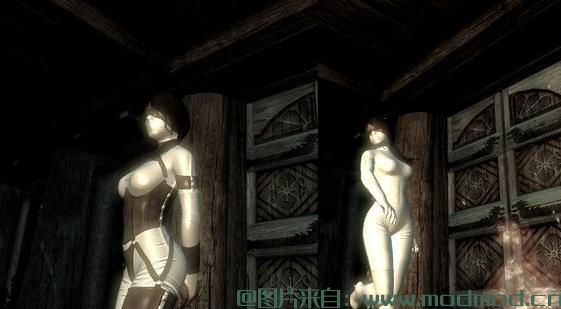 上古卷轴5：天际MOD N网出的一件猫女服饰（CBBEv3的）