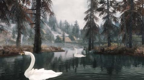 「搬运 | 汉化」上古卷轴5天际MOD：Ducks and Swans for Skyrim（优雅的天鹅和可爱的鸭子带声音版）