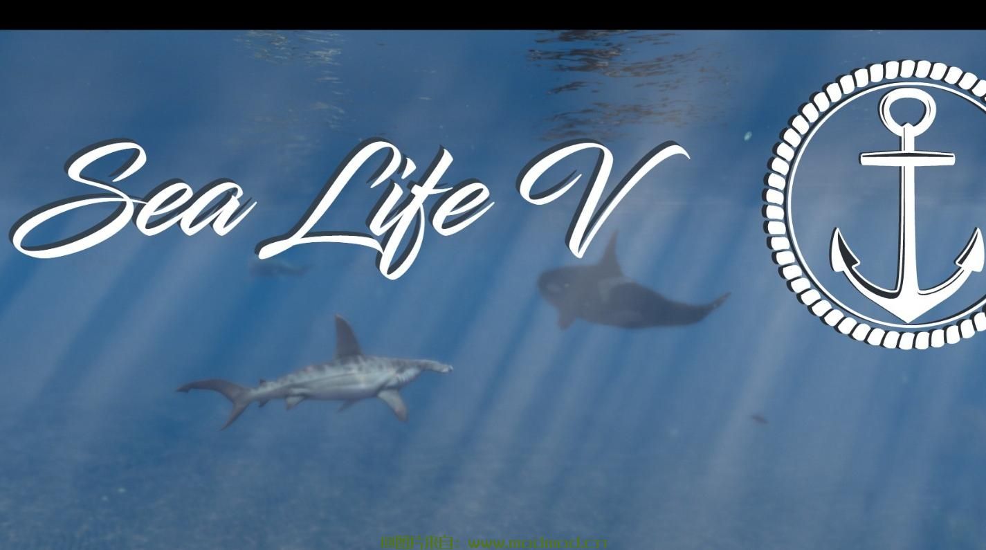 侠盗猎车手5「GTA5」 MOD：海洋生物第五版给海洋和水里增加更多的海洋生物！