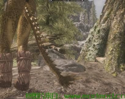 「搬运」上古卷轴5天际：亚龙人的战尾（Edhildils Argonian War Tails）就是几种很可耐的亚龙人小尾巴替换MOD