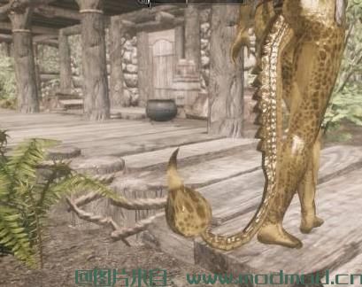 「搬运」上古卷轴5天际：亚龙人的战尾（Edhildils Argonian War Tails）就是几种很可耐的亚龙人小尾巴替换MOD