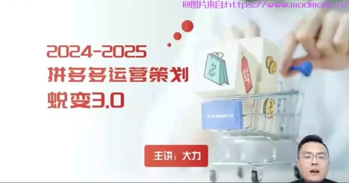 拼多多店铺运营新手入门《拼多多实操电商运营策略蜕变3.0》视频教程免费下载