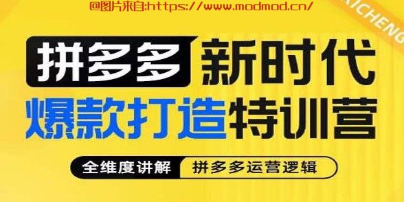 拼多多店铺运营新手入门教程「玺承拼多多新时代爆款打造特训营」免费下载