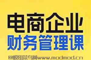 电商会计视频教程全集：为电商企业规划财税的《电商企业财务管理线上课》网盘免费下载