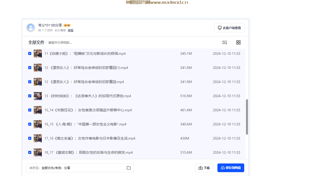 戴锦华大师电影课：性别与凝视网盘免费下载