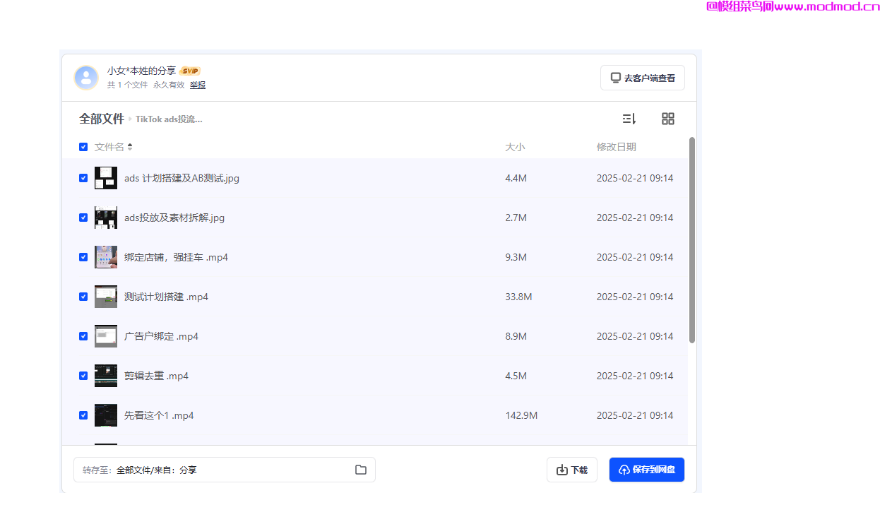 TikTok Ads 投放实操教程网盘免费下载