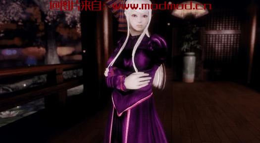 Shalltear Bloodfallen (Overlord) - 随从