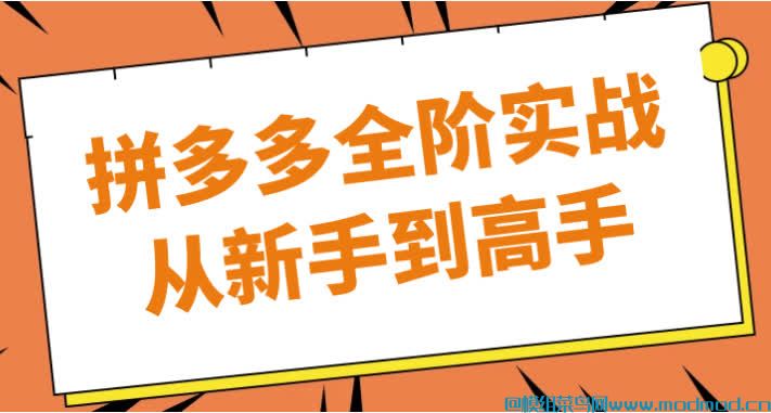 拼多多全阶实战从新手到高手 【5.9GB】