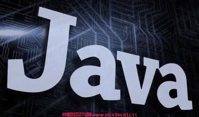 《2024Java轻松搞定》一套真正适合小白且不走弯路的入门课 【55.9GB】