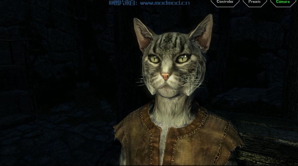 维京猫风格khajiit