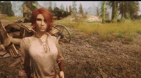 上古卷轴5重置版MODNord RaceMenu免费下载