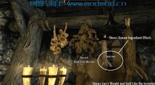 moreHUD espanol  能了解更多的物品信息