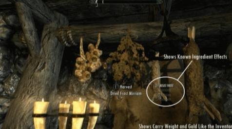 上古卷轴5天际能了解更多的物品信息MOD（ moreHUD espano）免费下载