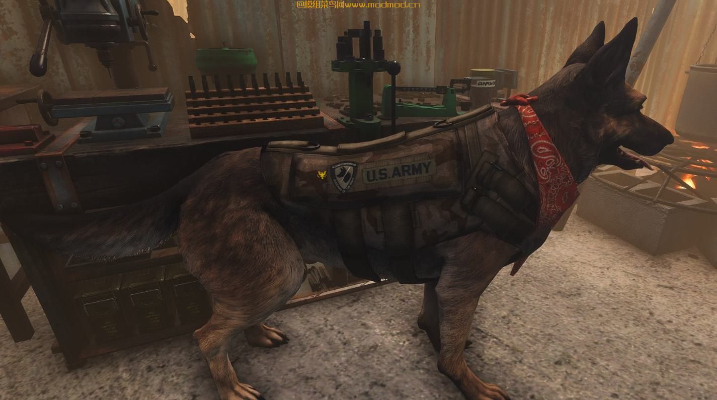 CWplus K-9 Harness（狗的服装）