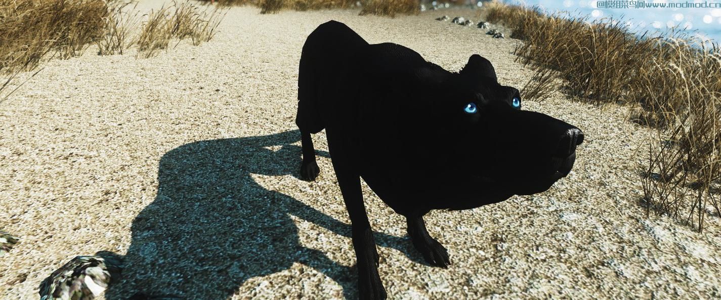辐射4黑牧羊犬（Dogmeat）MOD免费网盘下载