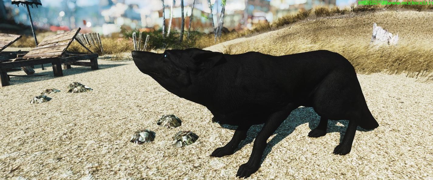 辐射4黑牧羊犬（Dogmeat）MOD免费网盘下载