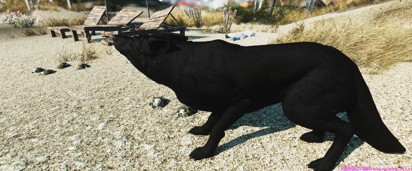 辐射4黑牧羊犬（Dogmeat）MOD免费网盘下载