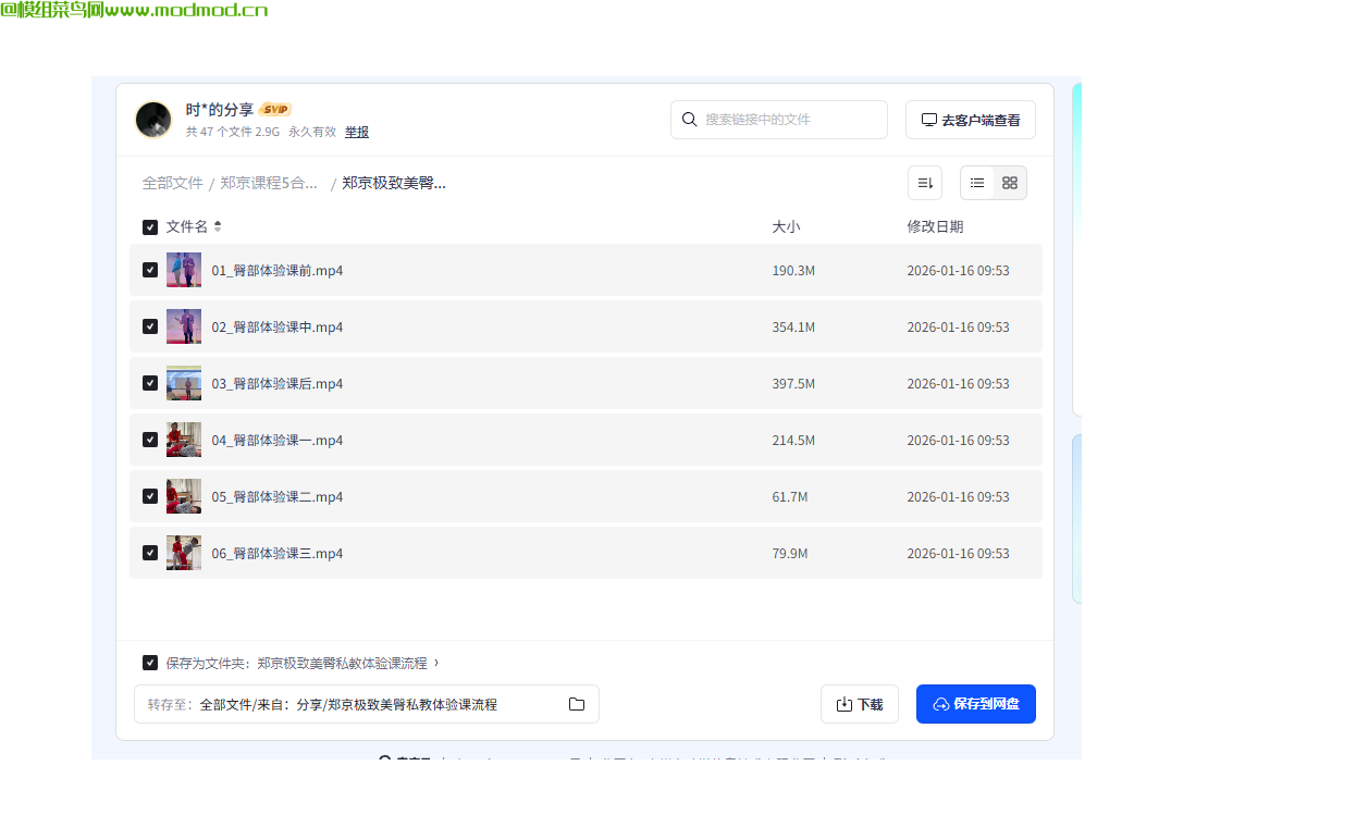 郑京健身塑形系列全套课程网盘免费下载