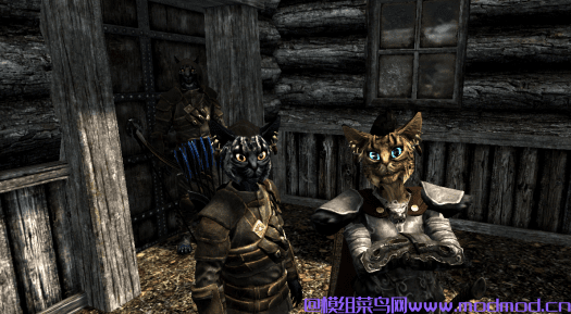 ADOPTABLE INIGO and FERGUS