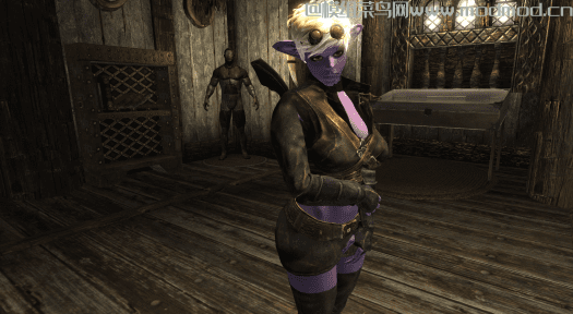 上古卷轴5天际英雄联盟波比和小炮随从（Poppy and Tristana ）MOD网盘免费下载