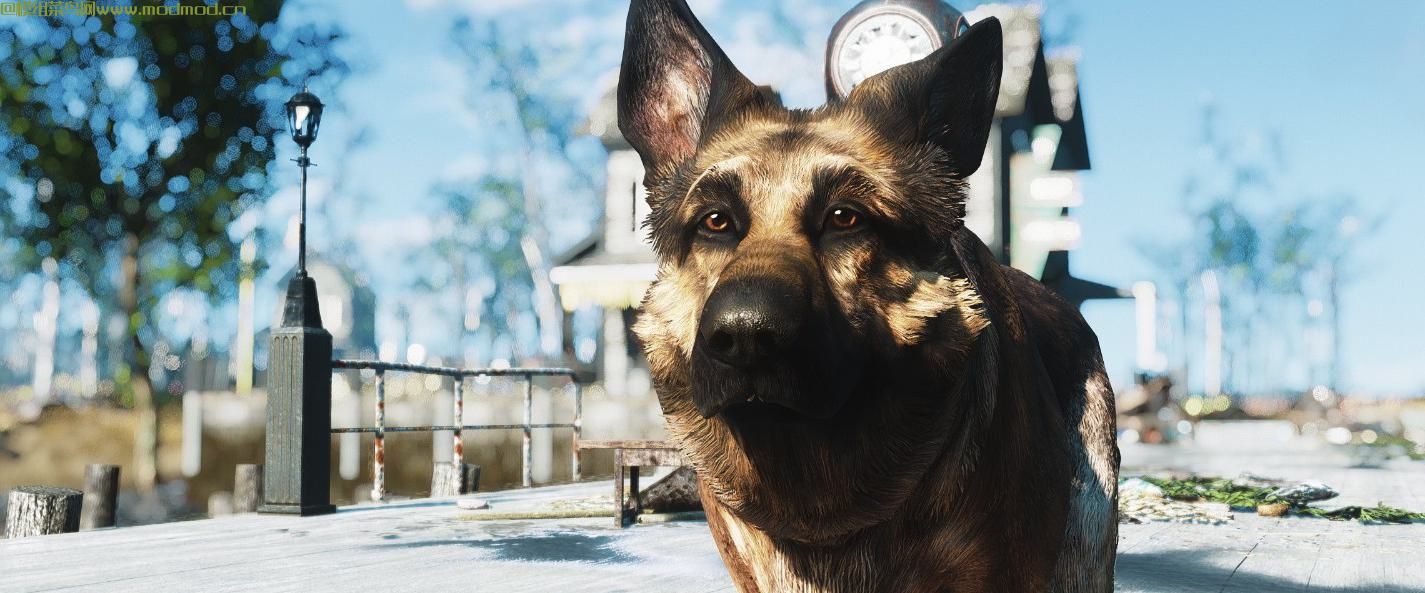 辐射4狗纹理4K画质MOD网盘免费下载